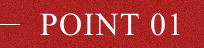 POINT 01